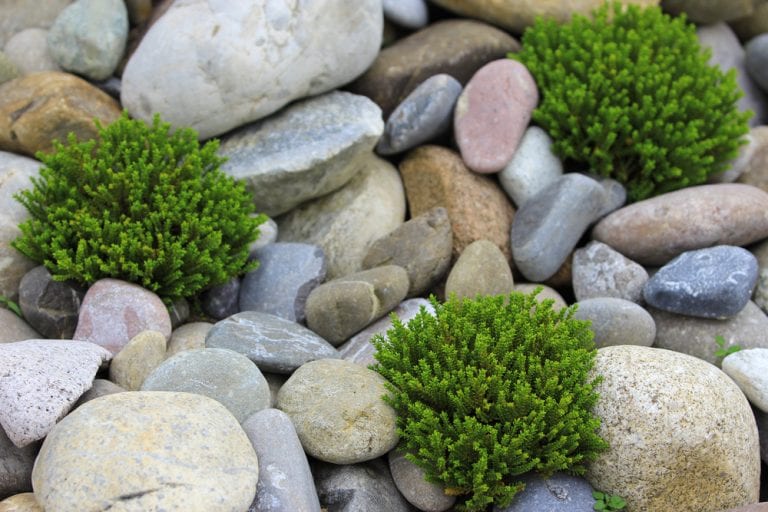 The Central Role of Rock Features in Landscaping Upgrades, Part 2