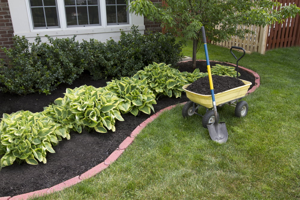 : landscaping topsoil nutrients amendments