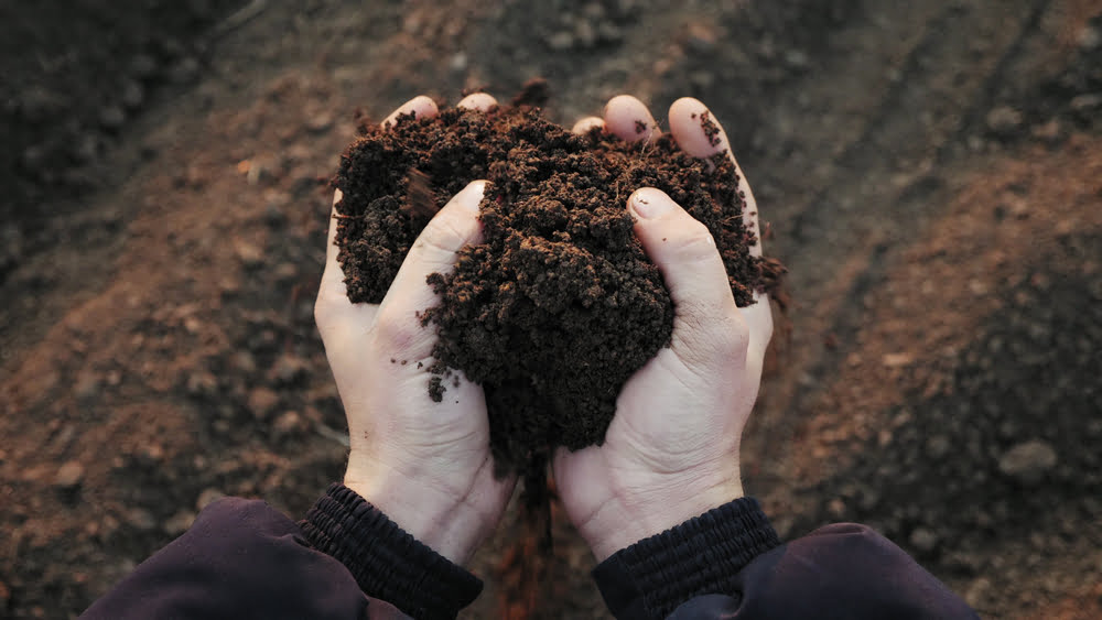 maintaining healthy landscape soil